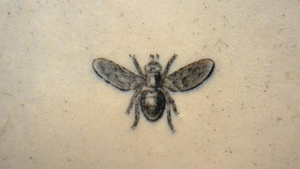 The urinal fly etching
