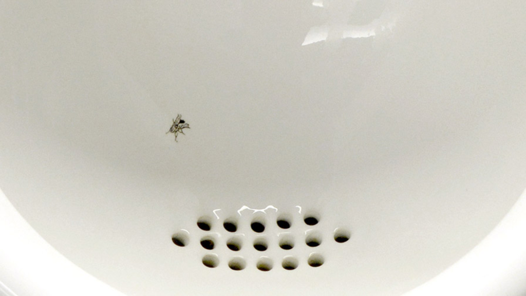 The urinal fly in the Schiphol Airport urinal