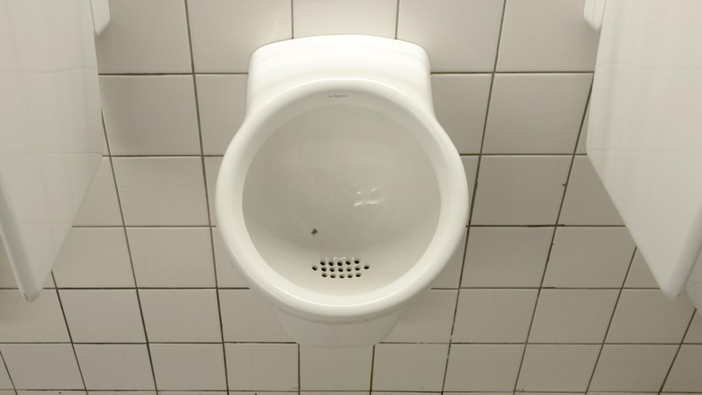 Urinal with fly at Schiphol Airport